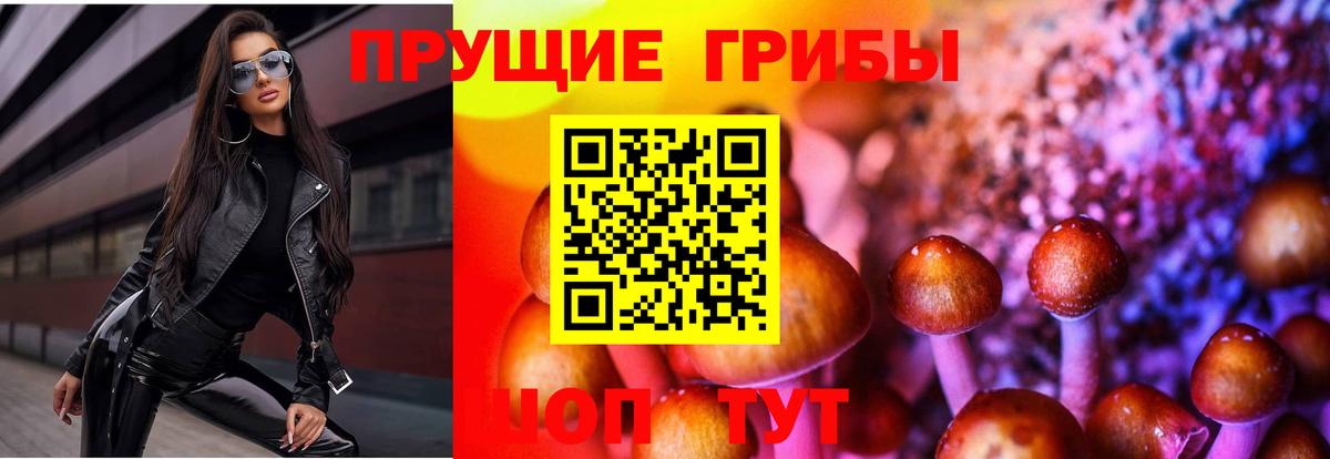Галлюциногенные грибы мицелий  Вход с VPN  Котельники  Галлюциногенные грибы ЛСД 